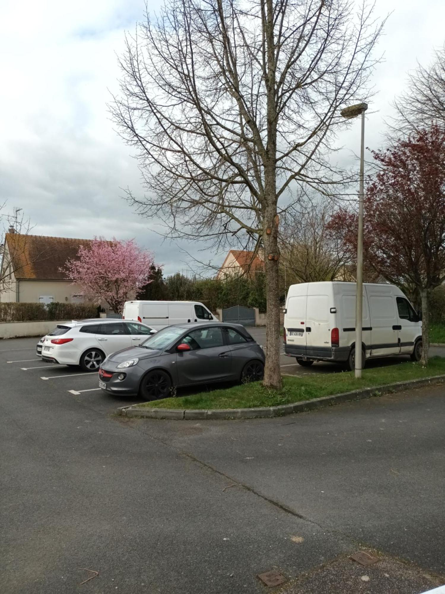 Appartement Tout Confort Le Fresne-Camilly エクステリア 写真