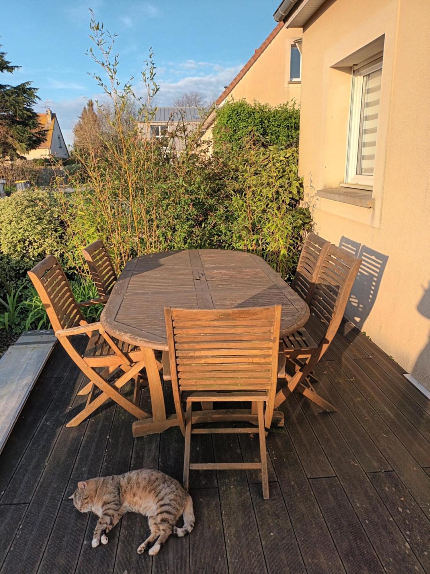Appartement Tout Confort Le Fresne-Camilly エクステリア 写真